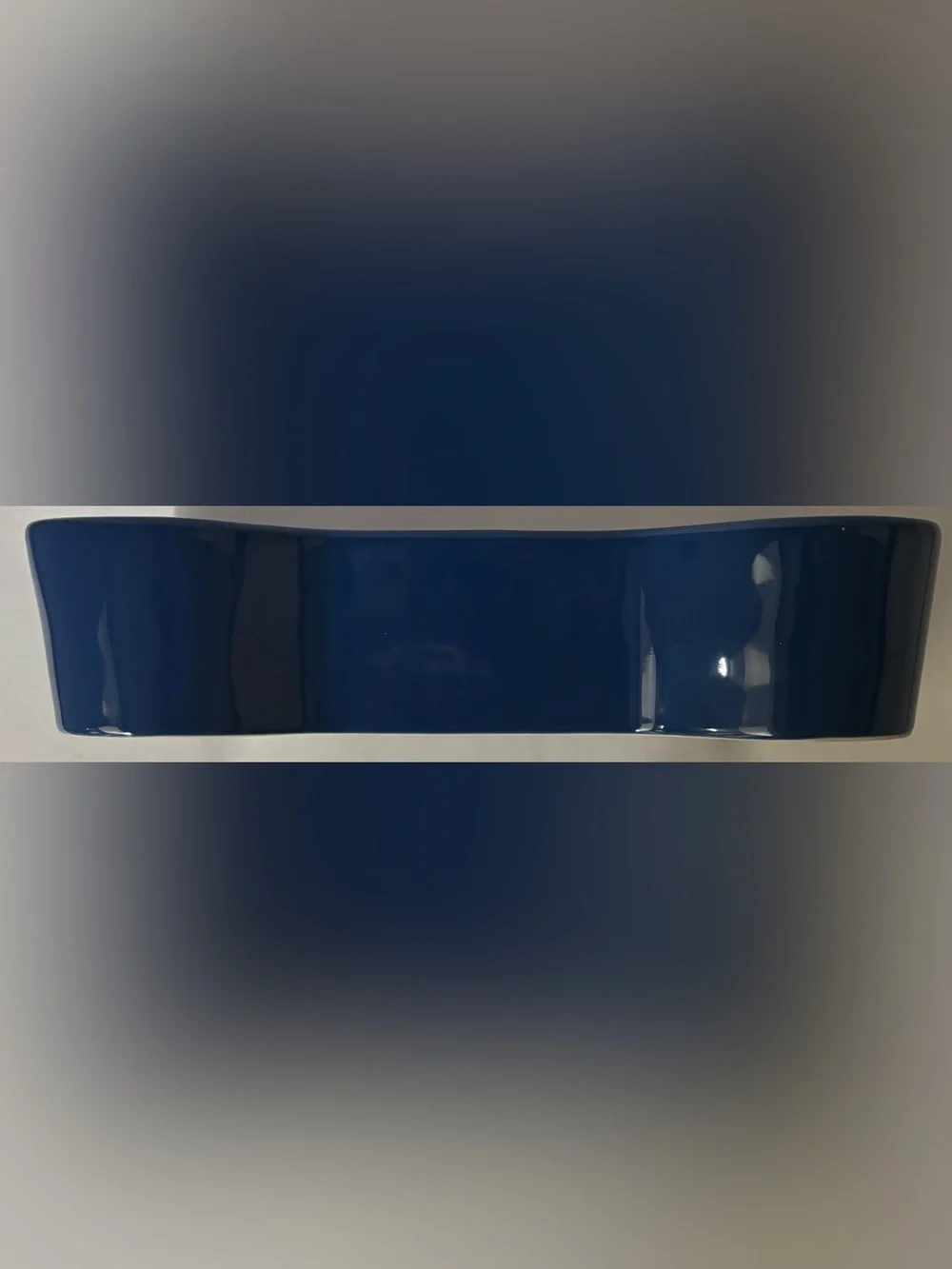 Rae Dunn patriotic pooch dog bowl bone shape ceramic blue white